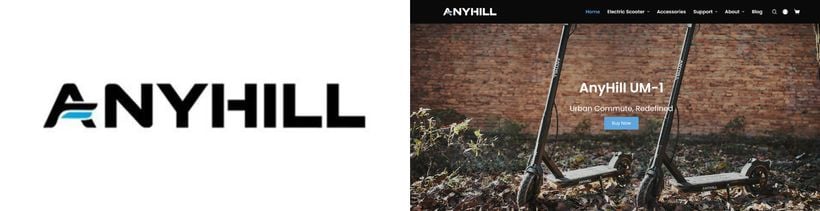 AnyHill Logo and Website